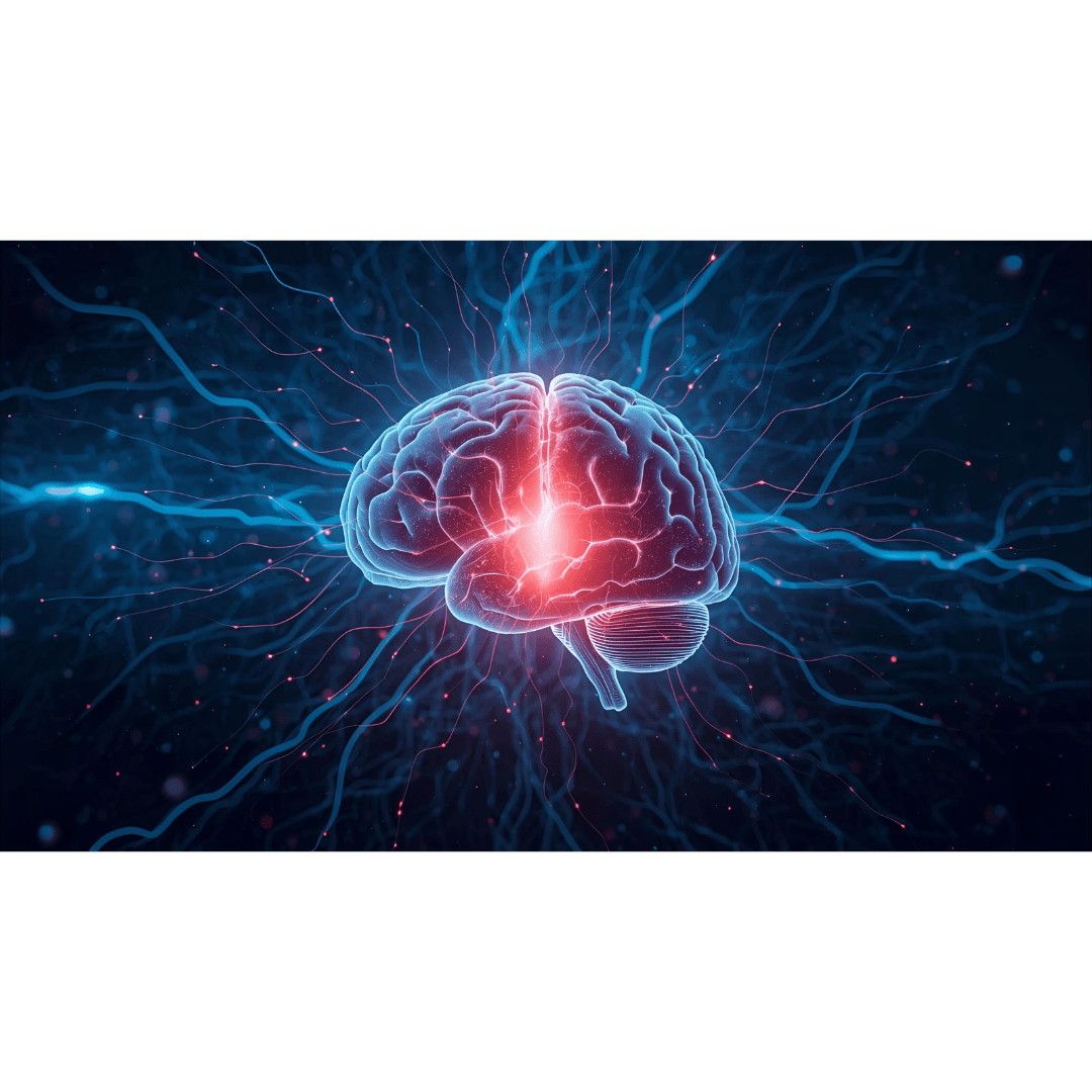 What Should I Drink Before Bed to Reduce Stress and Sleep Better? - Daily Drips